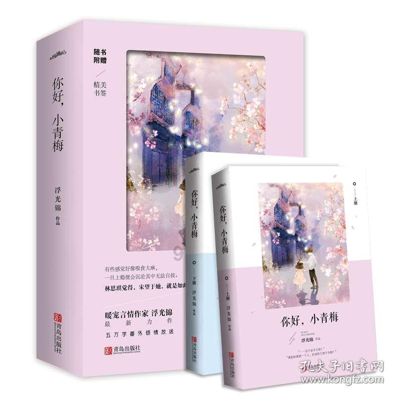 广东省二级建造师执业印章